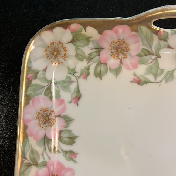 Gorgeous decorative plate by Porzellanfabrik Moschendorf Bavaria - Picture 4 of 12